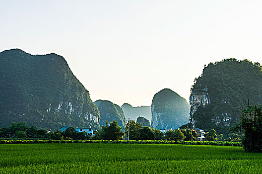 nha cai lo de