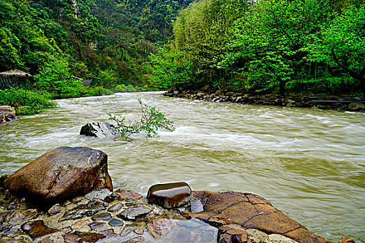soi cau lo de chinh xac 100