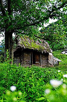 xsmn chu nhat du doan