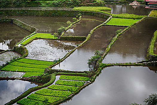 soi cầu miền nam miễn phí