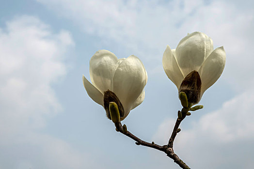 du doan xo so quang ngai
