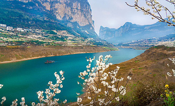 bach thu lo chuan