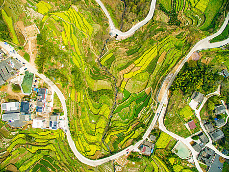 trực tiếp xsmb