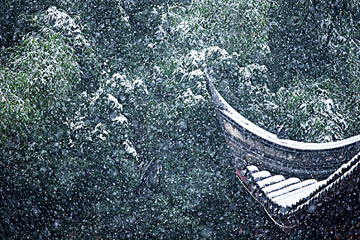kết quả xổ số bình định