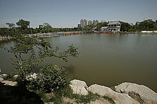 bạch thủ đề vip